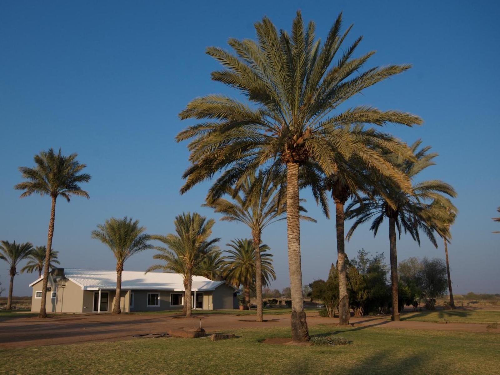 Flying Ostrich Guesthouse & Self-Catering Accommodation Mariental Buitenkant foto